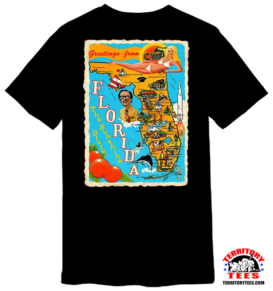 Greetings From The Sunshine State Black Tee